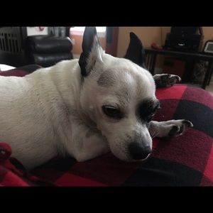 Meet your Posher, Gail